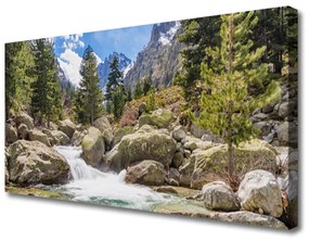Vászonkép Stones River Mountain Forest 125x50 cm