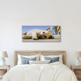 Fekvő kiskutya képe (120x50 cm)