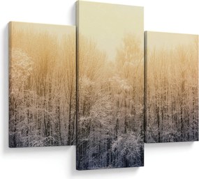 Fagyos erdő képe (90x60 cm)