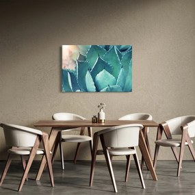 Kép - Szukulent (90x60 cm)