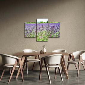 Egy mező képe a levendulával (90x60 cm)