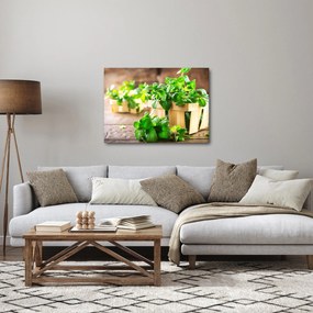 Friss menta képe (70x50 cm)
