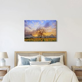 Kép - Táj napraforgóval (90x60 cm)