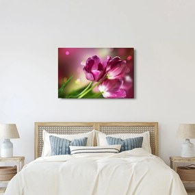 Rózsaszín tulipánok képe (90x60 cm)