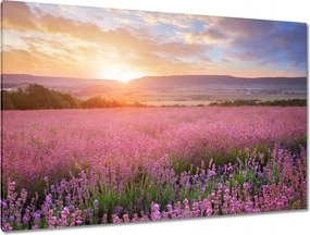 Festmények 120x80 Csodálatos naplemente