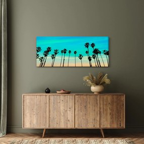Kép - Kalifornia (120x50 cm)