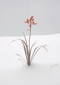 Poszter 29,7x42cm A természet finomsága