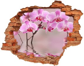 Fali matrica lyuk a falban Rózsaszín orchidea nd-c-79883275