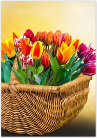 Poszterek 70x100 Tulipánok Virágok