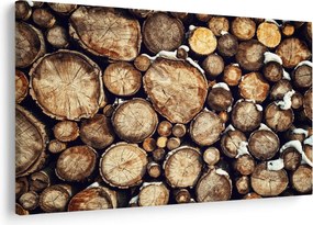 Kép - Fa a hóban (90x60 cm)