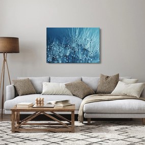 Kép - Harmatcseppek (90x60 cm)