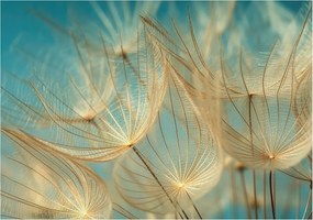 Fotótapéta Fali tapéta Hálószoba Nappali szoba Pitypangok éteri 208x146