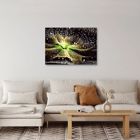 Kép - virág részlete (70x50 cm)