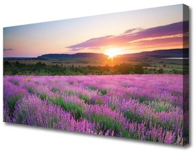 Vászonkép West Meadow Lavender Fields 100x50 cm