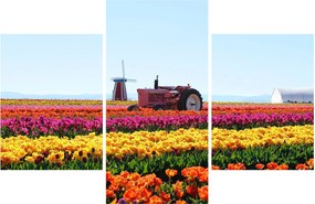 Tulipánfarm képe (90x60 cm)