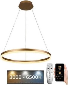 Brilagi - Dimmelhető kábeles LED függeszték CIRCLE LED/42W/230V 3000-6500K + távirányító