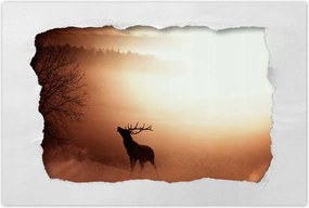 Poszterek 120x80 Szarvas az erdő szélén