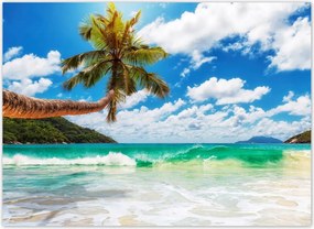 Fotótapéta flizelina 254x184 Paradicsom tengerpart pálmafákkal