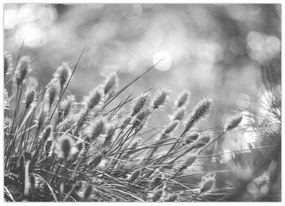 Kép - Bézs színű puha fű N⁰1 (70x50 cm)