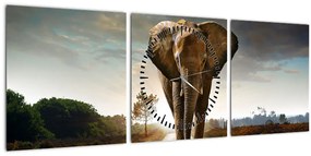 Elefánt képe (órával) (90x30 cm)