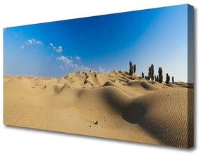 Vászonkép falra Fekvő sivatagi homok 140x70 cm