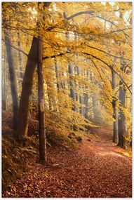 Poszterek 80x120 Tájkép Látvány