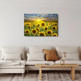 Kép - Napraforgók naplementében (90x60 cm)