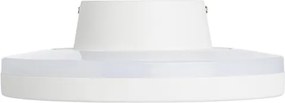 RENDL VELLAMO fali lámpa fehér 230V LED 9.6W IP54 3000K