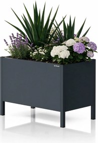 Nagy, antracit színű fém virágcserép-burkolat: DAISY 500 x 400 x 300 mm