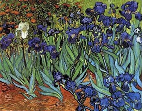Van Gogh-Iris üvegkép, falikép