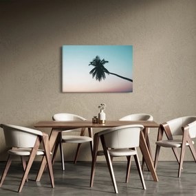 Kép - Pálmafa Balin (90x60 cm)