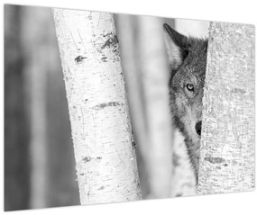 Kép - Farkas az erdőben (90x60 cm)