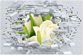 Poszterek 90x60 Finom tulipánok