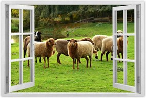 Poszterek 60x40 Juh legeltetés Bárányok