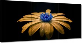 Vászonkép 180x90 Teavirág