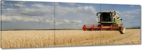 Képek 150x50 Kombájn az aratás során