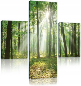Vászonkép 80x80 Erdő napsugarak fény az erdőben természet zöld fák