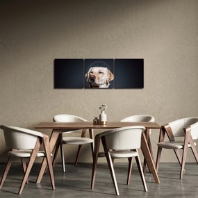 Labrador képe (órával) (90x30 cm)