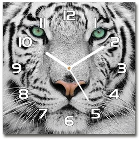 Szögletes üvegóra Fehér tigris pl_zsk_30x30_f_13468757
