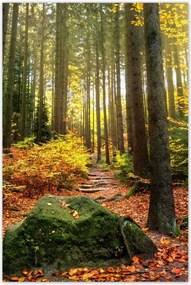 Poszterek 80x120 Tájkép