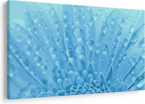 Kép - Makro felvétel egy virágról (90x60 cm)