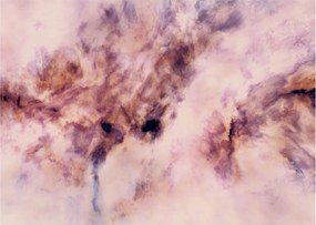 Kép - Fantasy II. (70x50 cm)