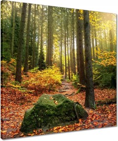 Vászonkép 50x50 Tájkép