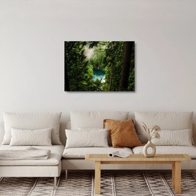 Kép - kilátás a fák között (üvegen) (70x50 cm)