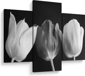 Kép - fekete-fehér tulipán virág (90x60 cm)