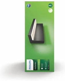 Philips 16483/93/P3 - BUSTAN kültéri fali lámpa 2xLED/4,5W IP44