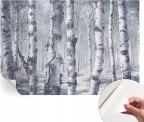 Öntapadós fotótapéta Nappaliba és Hálószobába Fagyos természet 152x104