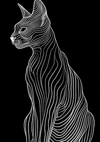 Poszter 70x100cm Minimális kontúr