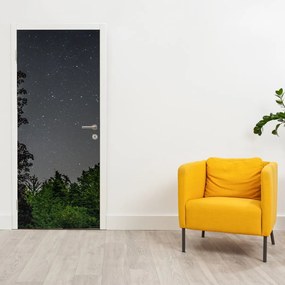 Fotótapéta ajtóra - Éjszakai égbolt (95x205cm)