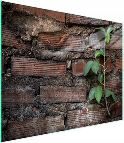 Üveg Vágódeszka 52x30 Tégla Edzett Üveg